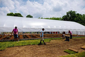 Heath Outdoor crew members and volunteers lay sod at the Elephant Gardens Farm, as part of the Juneteenth Day of Service